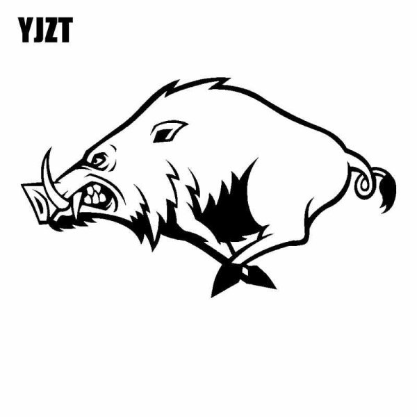 Дикий кабан наклейка