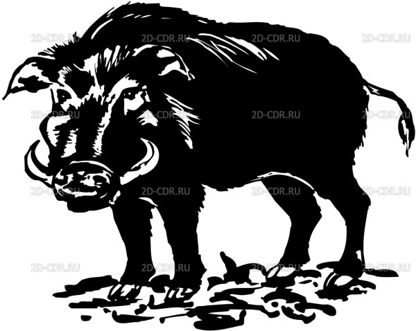 Силуэт дикого кабана