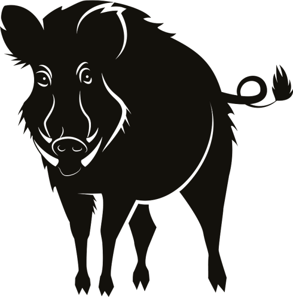 Кабан вектор