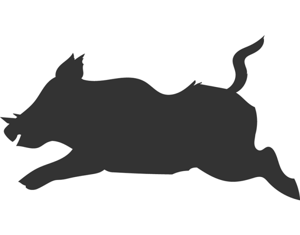 Трафарет кабана