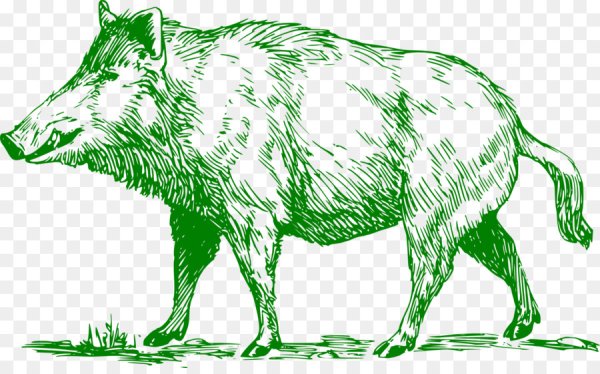 Векторная Графика кабан