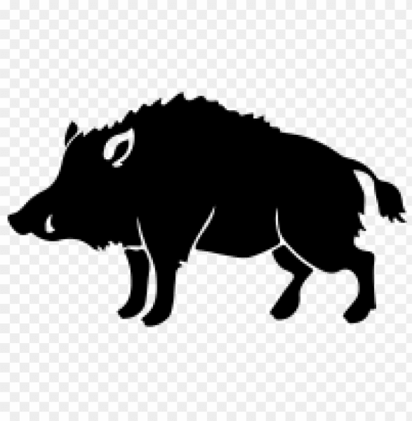 Трафарет кабана