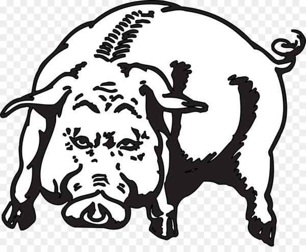 Векторное изображение свинья