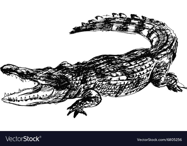 Крокодил абстракция