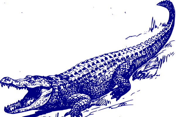 Крокодил Графика