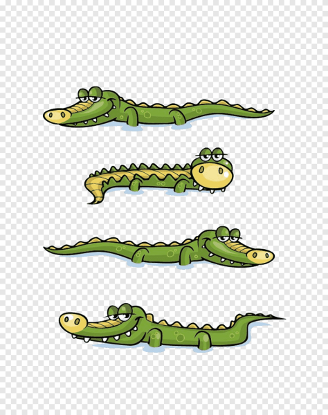 Крокодил больше меньше