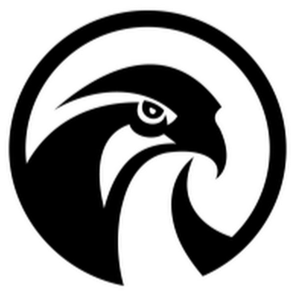 Стилизованный Сокол