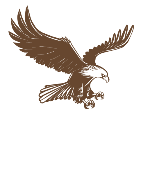 Сокол векторное изображение