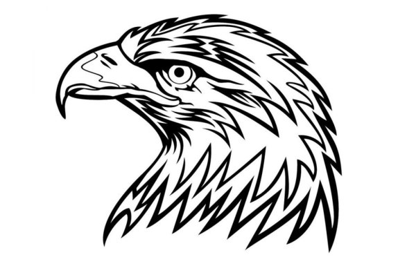 Орел эскиз чб