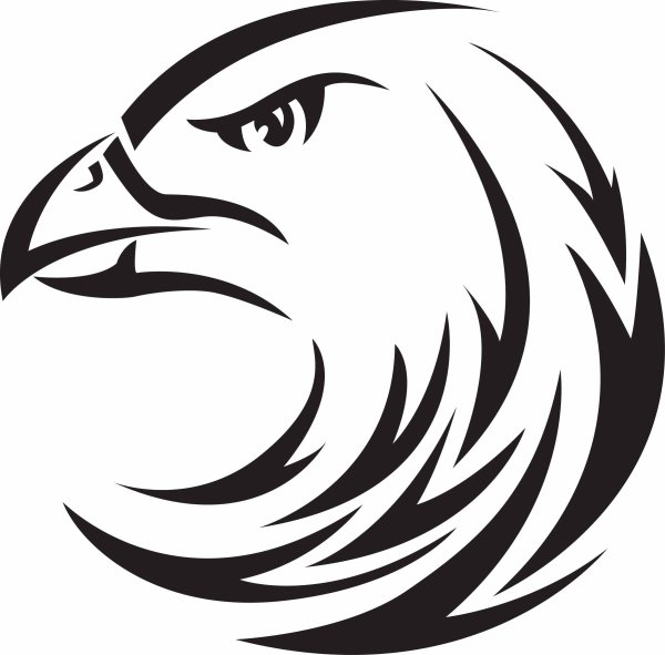 Голова орла эскиз