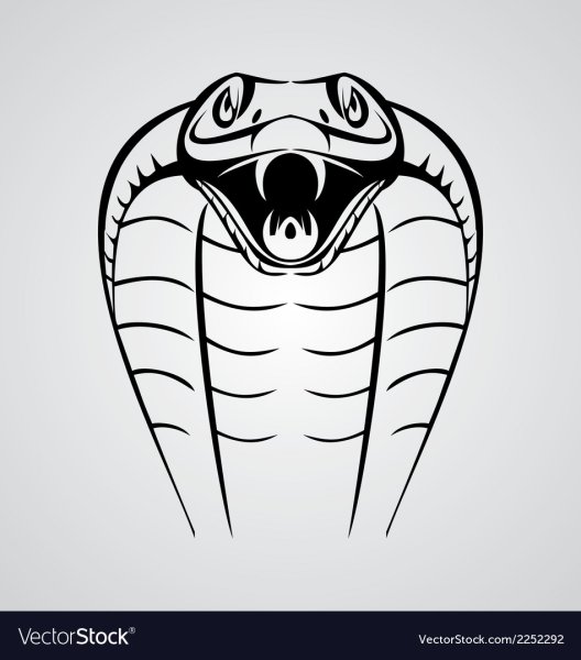 Голова змеи эскиз