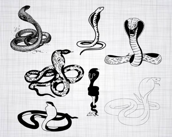 Кобра схематично