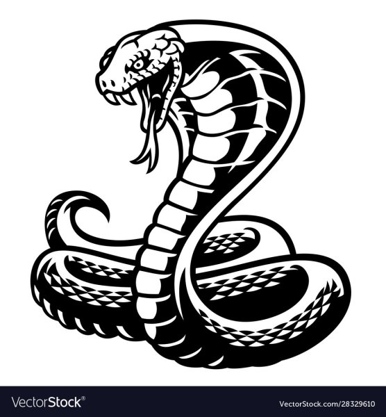 Кобра черно белая