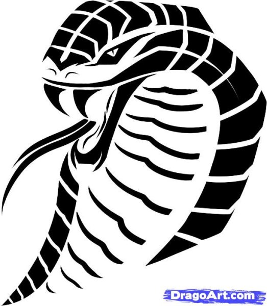 Кобра тату трайбл