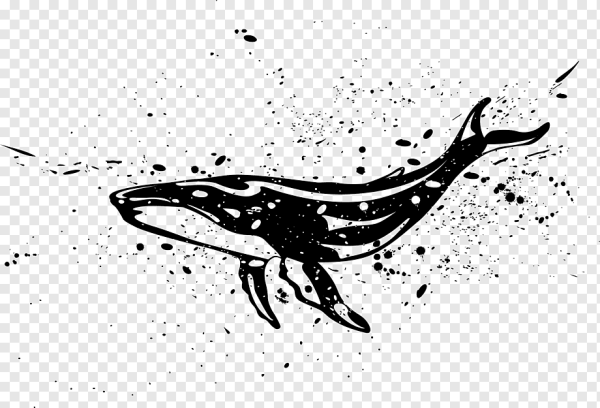 Векторное изображение кита