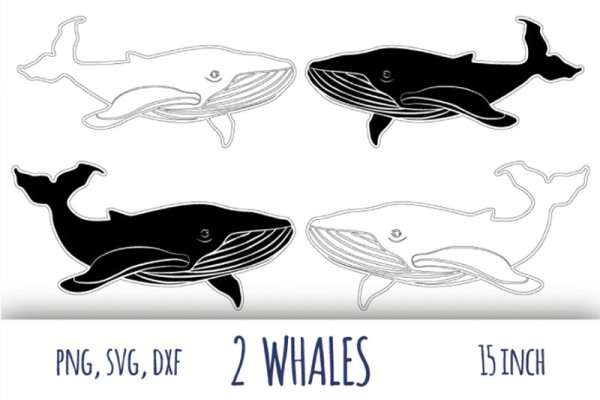 Векторное изображение кита