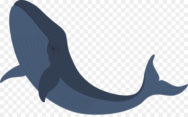 Кит силуэт вектор