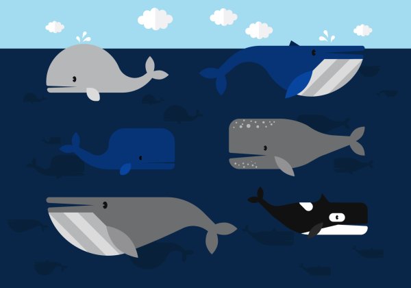 Векторный кит