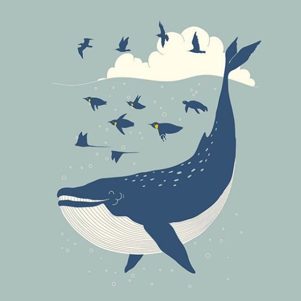 Кит Векторная Графика