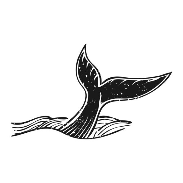 Кит Векторная Графика