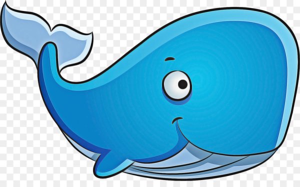 Веселый кит