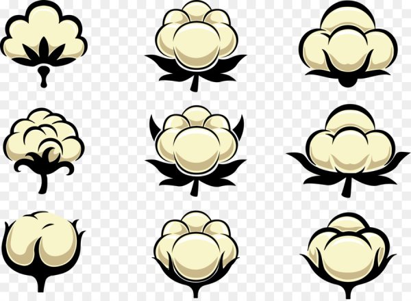 Хлопок мультяшный