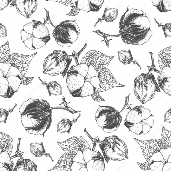 Хлопок эскиз векторный