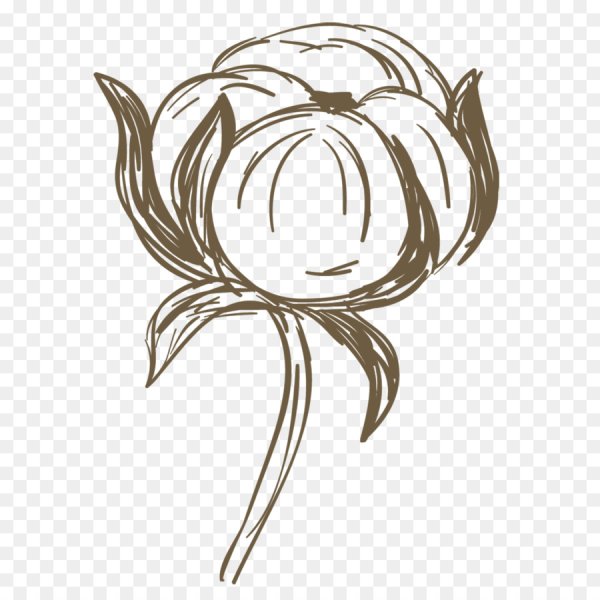 Хлопок рисунок