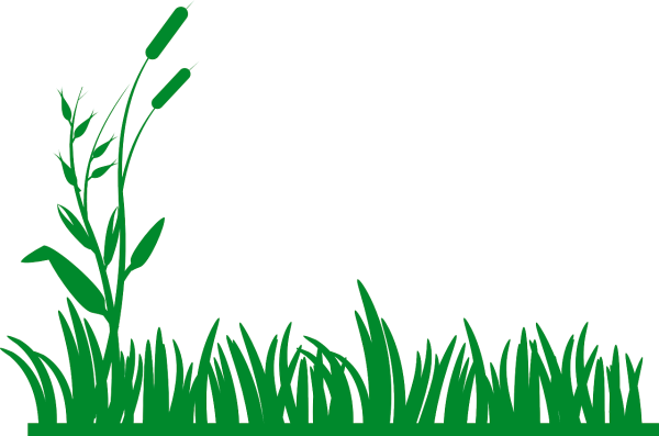 Нарисованная трава