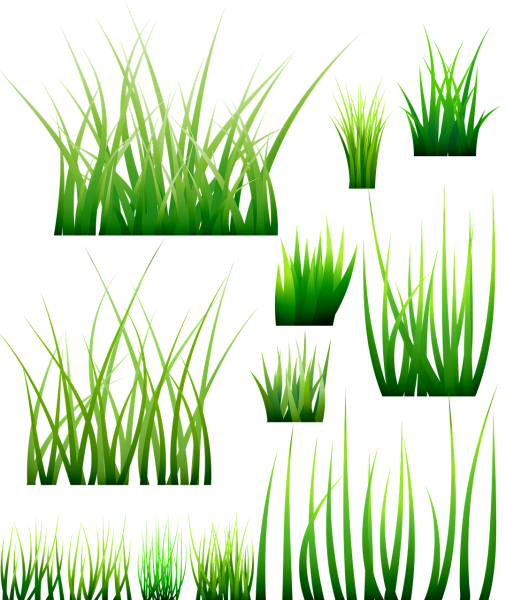 Трава вектор