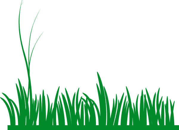 Трава Векторная Графика