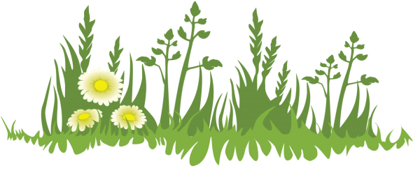 Травка нарисованная