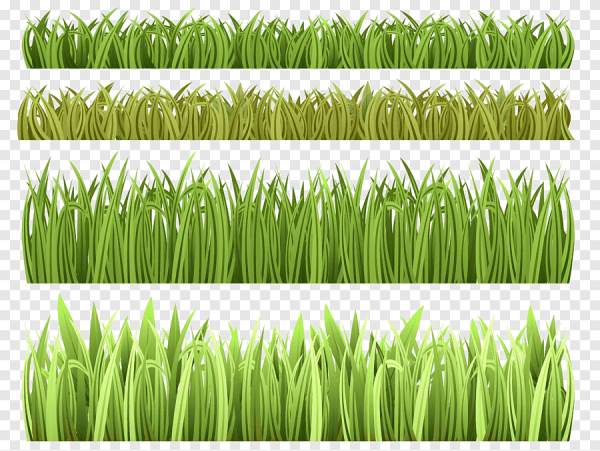 Нарисованная трава