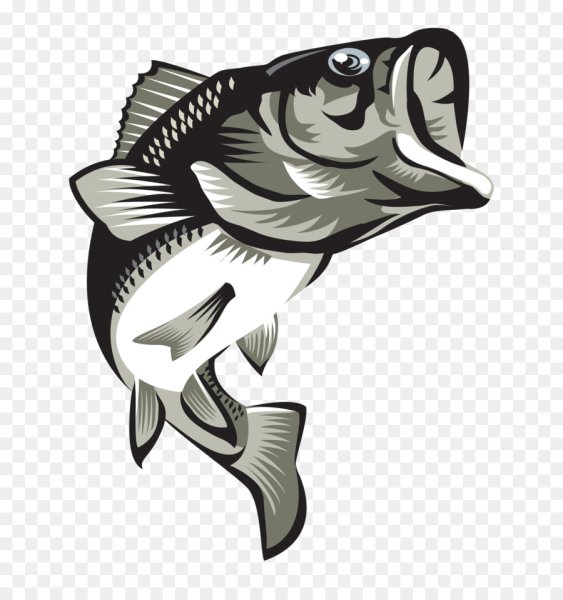 Окунь вектор