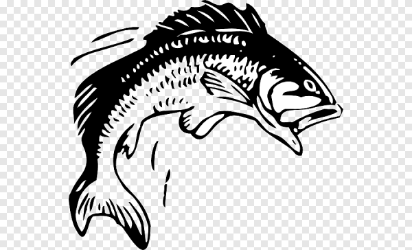 Силуэт хищной рыбы