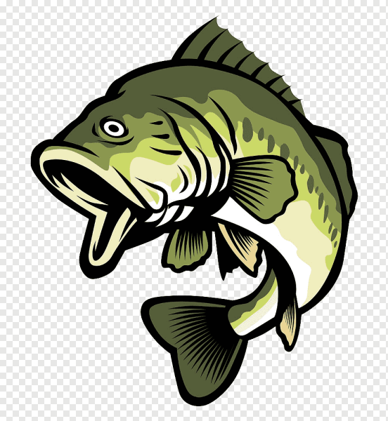 Окунь мультяшный