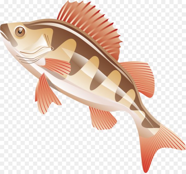 Векторное изображение рыбы
