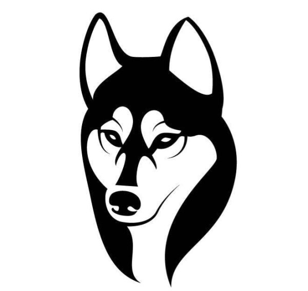 Хаски вектор