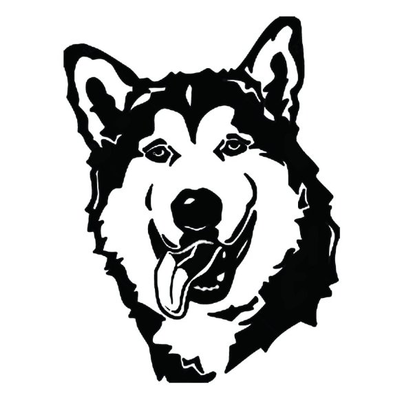 Аляскинский маламут вектор