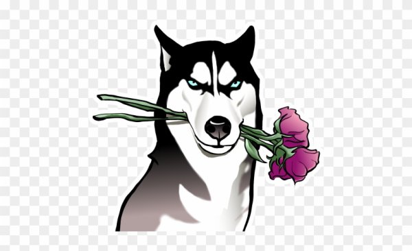 Стикеры хаски