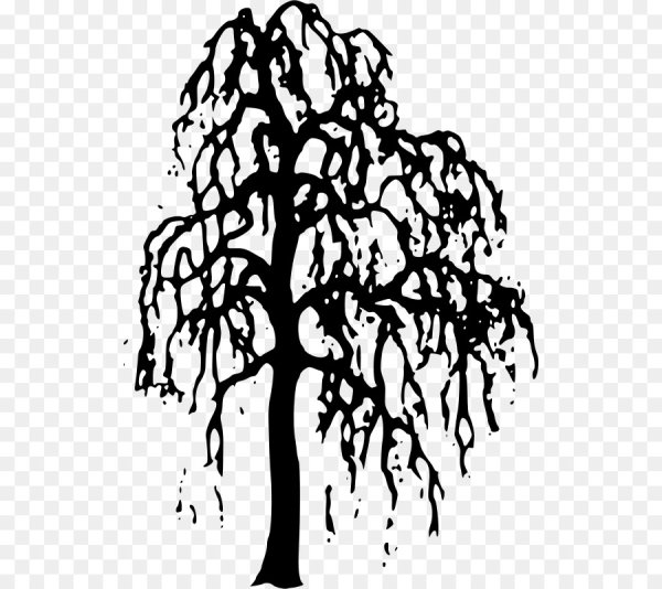 Силуэт дерева береза