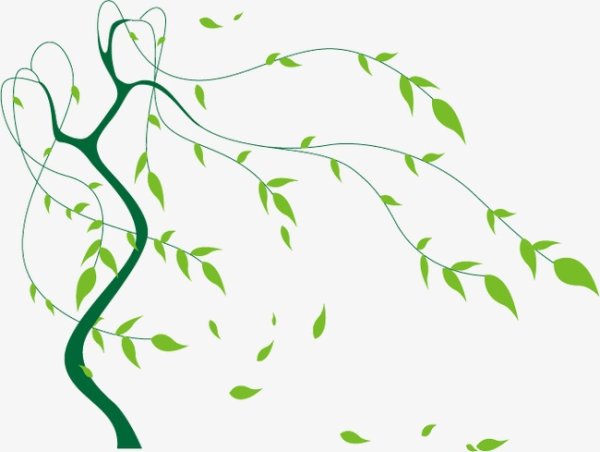 Плакучая Ива вектор