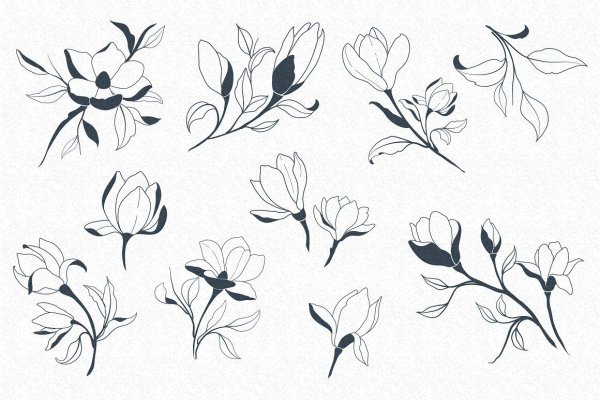 Цветы простыми линиями