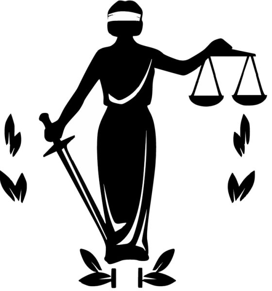 Компетентность судьи рисунок