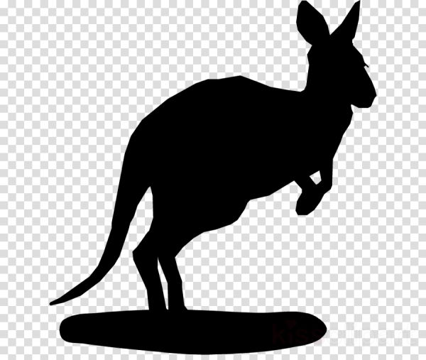 Силуэты животных кенгуру