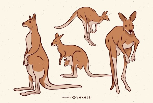 Векторная Графика Kangaroo