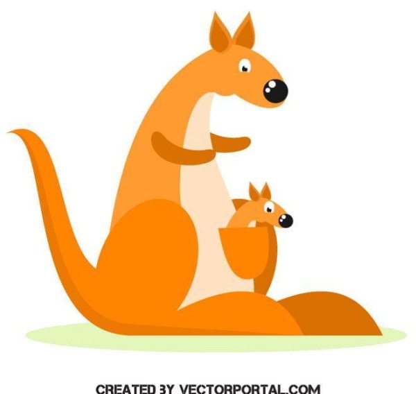 Кенгуру вектор