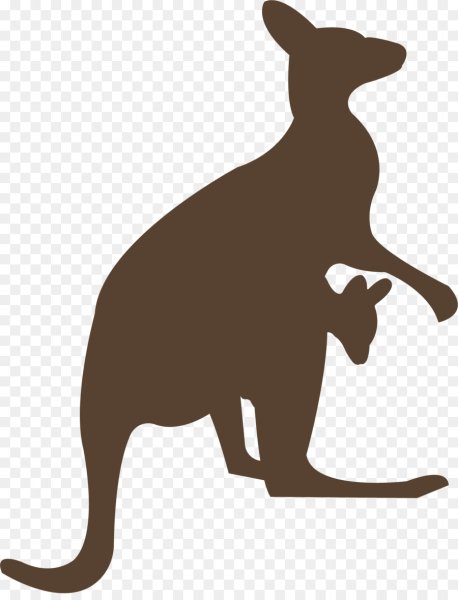 Кенгуру арт без фона