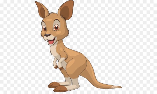 Kangaroo вектор