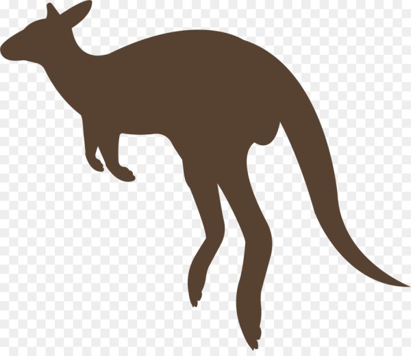 Кенгуру мультяшная